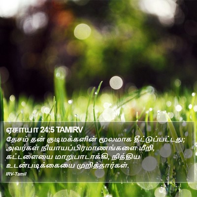 ஏசாயா 24:5 TAMIRV Bible Verse Image