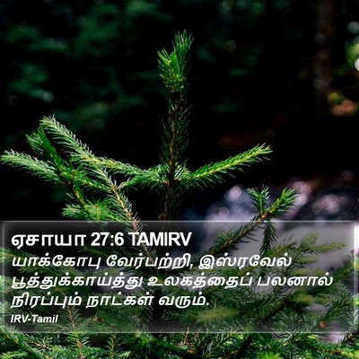 ஏசாயா 27:6 TAMIRV Bible Verse Image