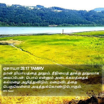 ஏசாயா 28:17 TAMIRV Bible Verse Image