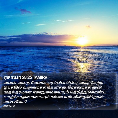 ஏசாயா 28:25 TAMIRV Bible Verse Image