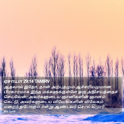 ஏசாயா 29:14 TAMIRV Bible Verse Image