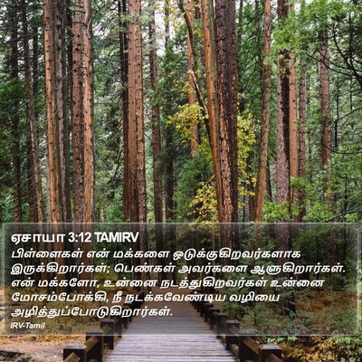 ஏசாயா 3:12 TAMIRV Bible Verse Image