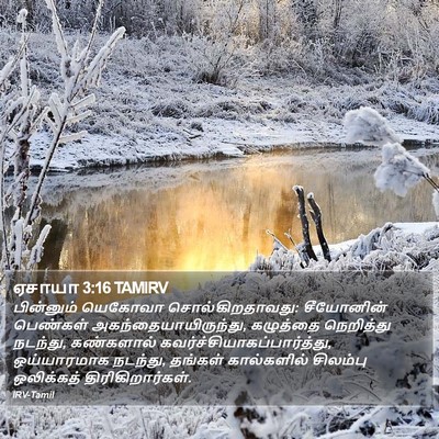 ஏசாயா 3:16 TAMIRV Bible Verse Image