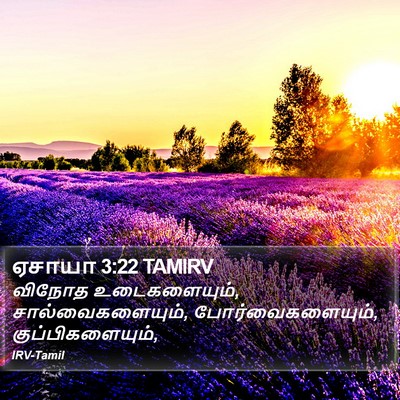 ஏசாயா 3:22 TAMIRV Bible Verse Image