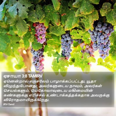 ஏசாயா 3:8 TAMIRV Bible Verse Image