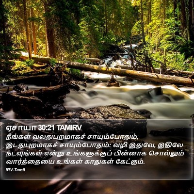 ஏசாயா 30:21 TAMIRV Bible Verse Image