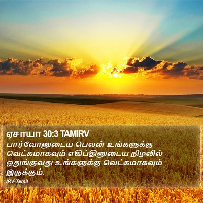 ஏசாயா 30:3 TAMIRV Bible Verse Image