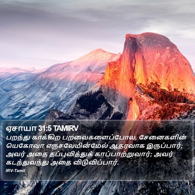 ஏசாயா 31:5 TAMIRV Bible Verse Image