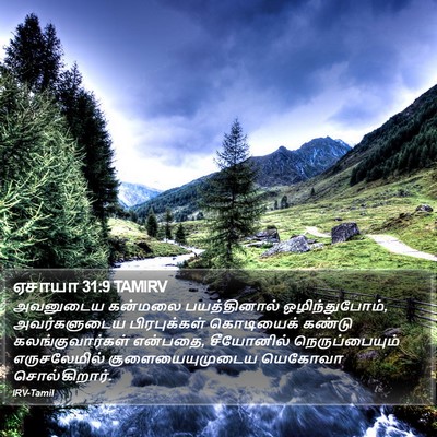 ஏசாயா 31:9 TAMIRV Bible Verse Image
