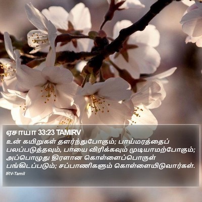 ஏசாயா 33:23 TAMIRV Bible Verse Image