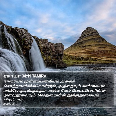 ஏசாயா 34:11 TAMIRV Bible Verse Image