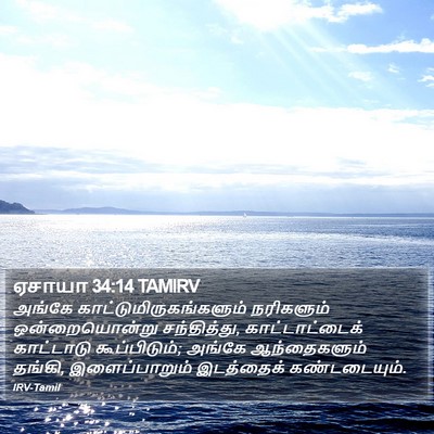 ஏசாயா 34:14 TAMIRV Bible Verse Image