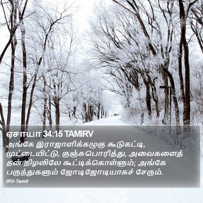 ஏசாயா 34:15 TAMIRV Bible Verse Image