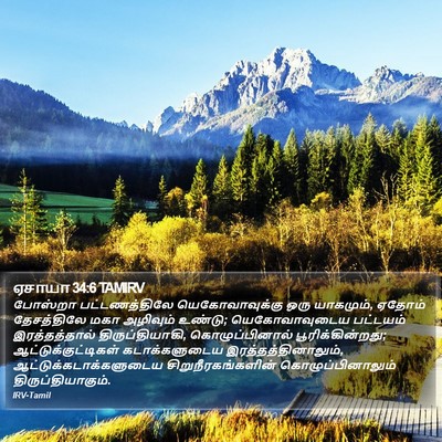 ஏசாயா 34:6 TAMIRV Bible Verse Image