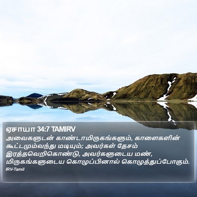 ஏசாயா 34:7 TAMIRV Bible Verse Image
