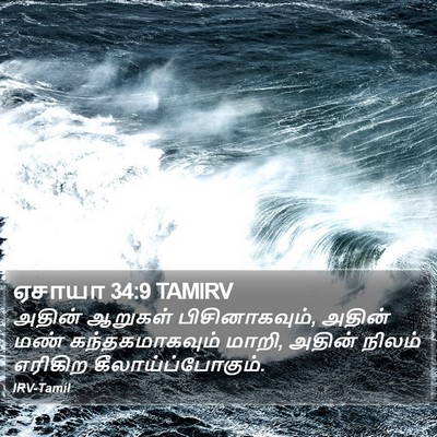 ஏசாயா 34:9 TAMIRV Bible Verse Image