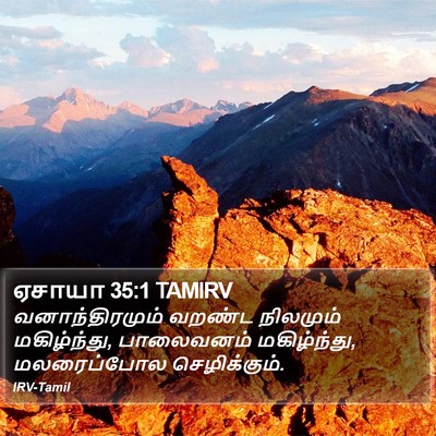 ஏசாயா 35:1 TAMIRV Bible Verse Image