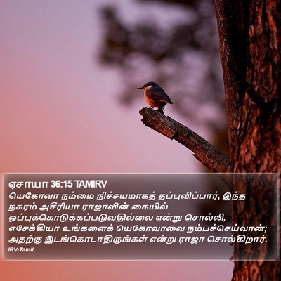 ஏசாயா 36:15 TAMIRV Bible Verse Image