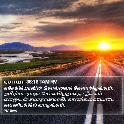 ஏசாயா 36:16 TAMIRV Bible Verse Image