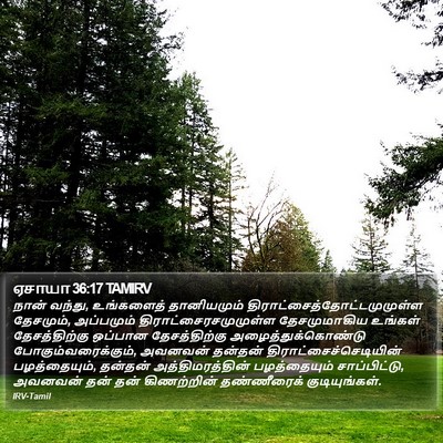 ஏசாயா 36:17 TAMIRV Bible Verse Image