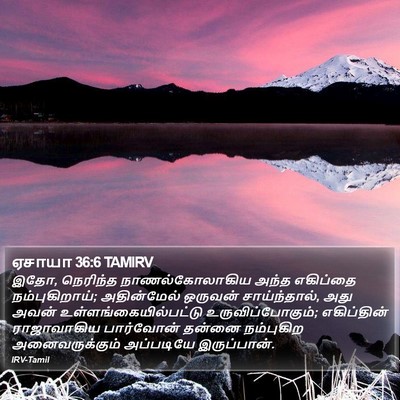 ஏசாயா 36:6 TAMIRV Bible Verse Image
