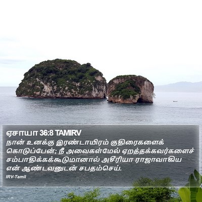 ஏசாயா 36:8 TAMIRV Bible Verse Image