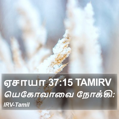 ஏசாயா 37:15 TAMIRV Bible Verse Image
