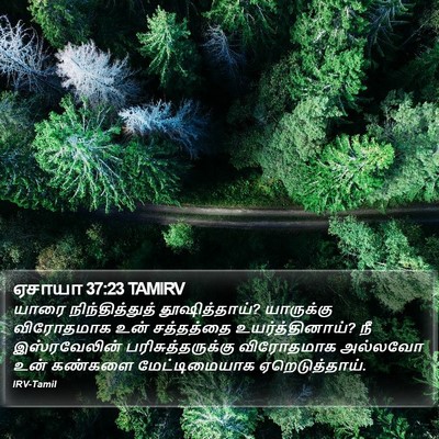 ஏசாயா 37:23 TAMIRV Bible Verse Image