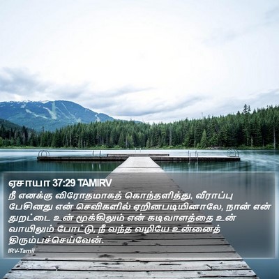 ஏசாயா 37:29 TAMIRV Bible Verse Image