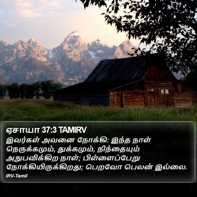 ஏசாயா 37:3 TAMIRV Bible Verse Image