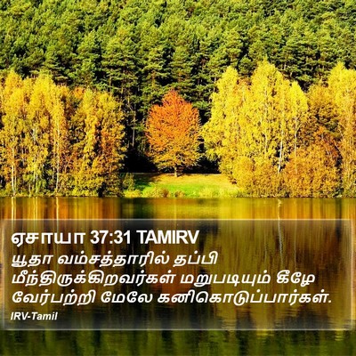 ஏசாயா 37:31 TAMIRV Bible Verse Image