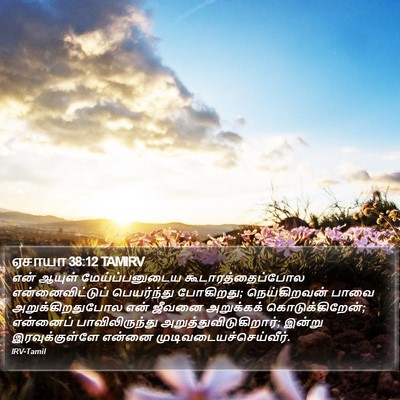 ஏசாயா 38:12 TAMIRV Bible Verse Image