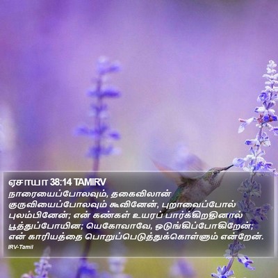 ஏசாயா 38:14 TAMIRV Bible Verse Image