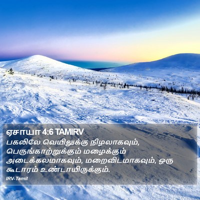 ஏசாயா 4:6 TAMIRV Bible Verse Image