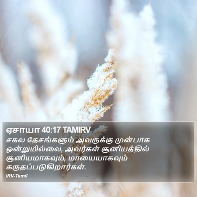 ஏசாயா 40:17 TAMIRV Bible Verse Image
