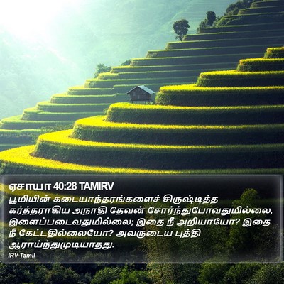 ஏசாயா 40:28 TAMIRV Bible Verse Image