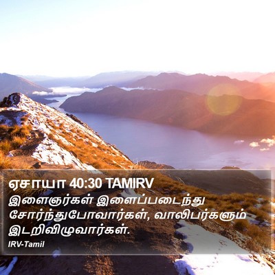 ஏசாயா 40:30 TAMIRV Bible Verse Image