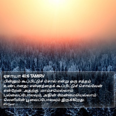 ஏசாயா 40:6 TAMIRV Bible Verse Image