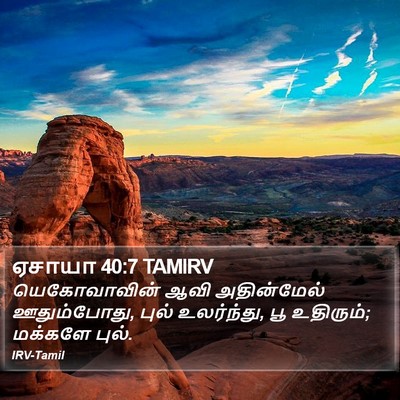 ஏசாயா 40:7 TAMIRV Bible Verse Image