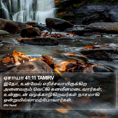 ஏசாயா 41:11 TAMIRV Bible Verse Image
