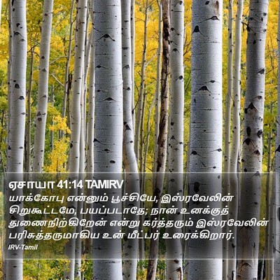 ஏசாயா 41:14 TAMIRV Bible Verse Image