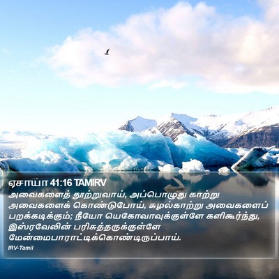 ஏசாயா 41:16 TAMIRV Bible Verse Image