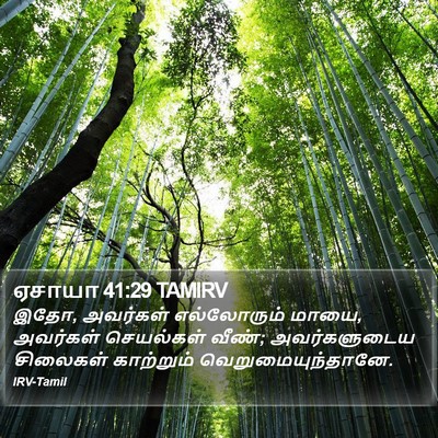 ஏசாயா 41:29 TAMIRV Bible Verse Image