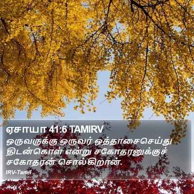 ஏசாயா 41:6 TAMIRV Bible Verse Image