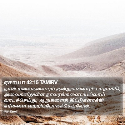 ஏசாயா 42:15 TAMIRV Bible Verse Image
