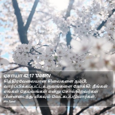ஏசாயா 42:17 TAMIRV Bible Verse Image
