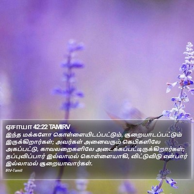 ஏசாயா 42:22 TAMIRV Bible Verse Image