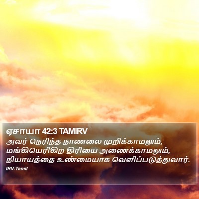 ஏசாயா 42:3 TAMIRV Bible Verse Image