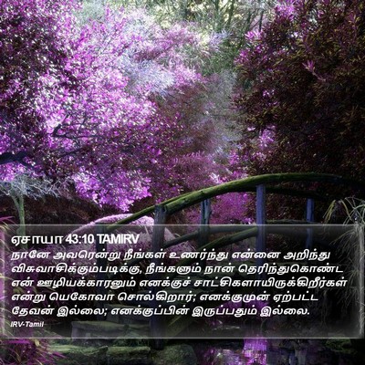ஏசாயா 43:10 TAMIRV Bible Verse Image