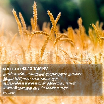 ஏசாயா 43:13 TAMIRV Bible Verse Image